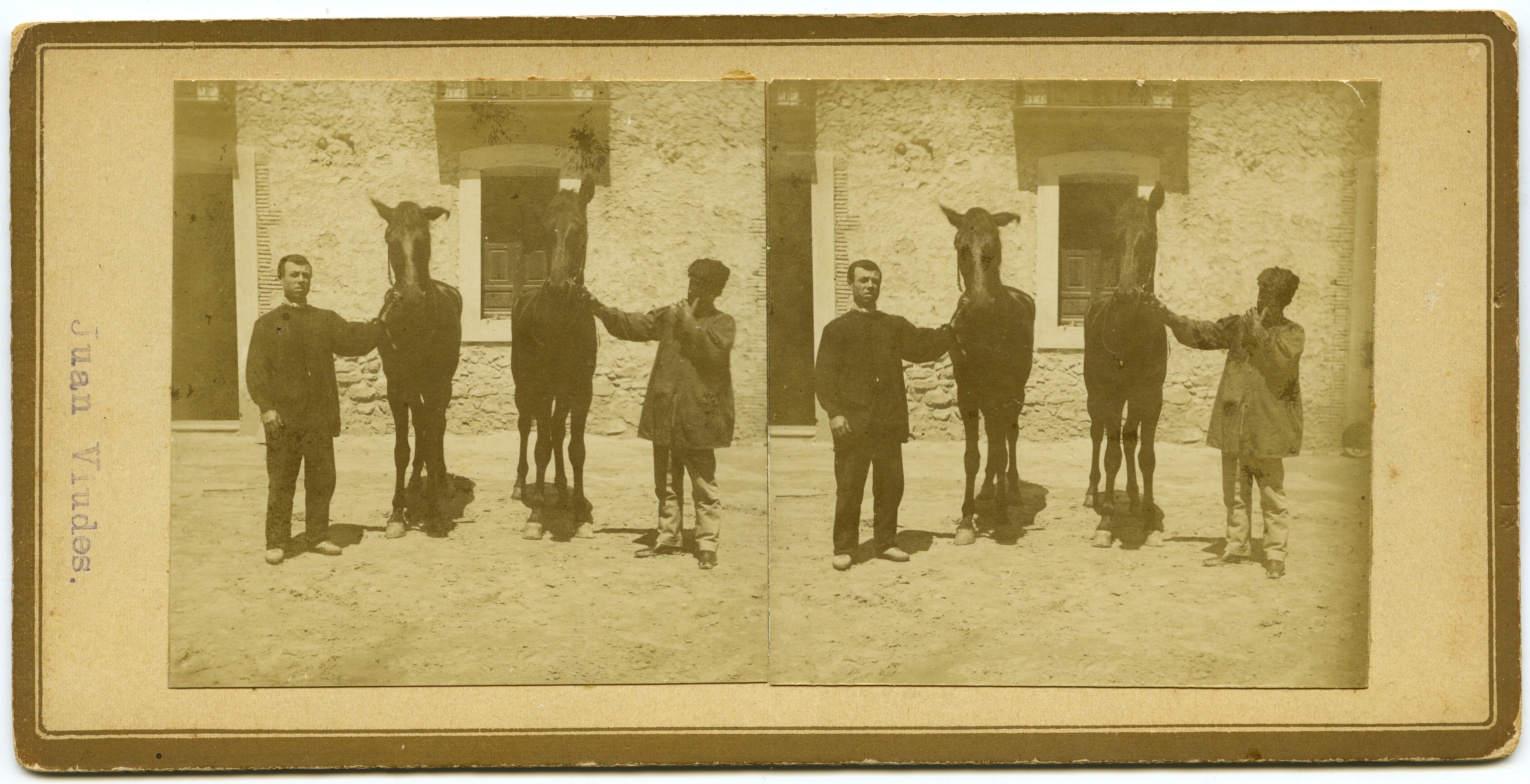 Retrato de dos gañanes sujetando la brida de dos potrillas de la Hacienda de Río-Florido (Almoradí)