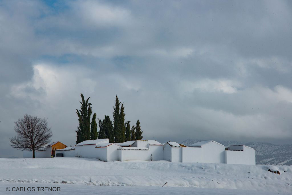 Detalle del cementerio de la pedanía de El Sabinar tras la gran nevada caída en la región murciana, fotografía de Carlos Trenor