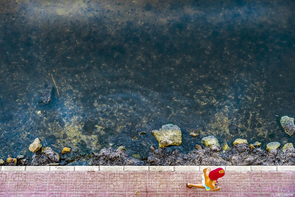 Mar Menor, peces muertos por anoxia, fotografía de Iván Urquízar