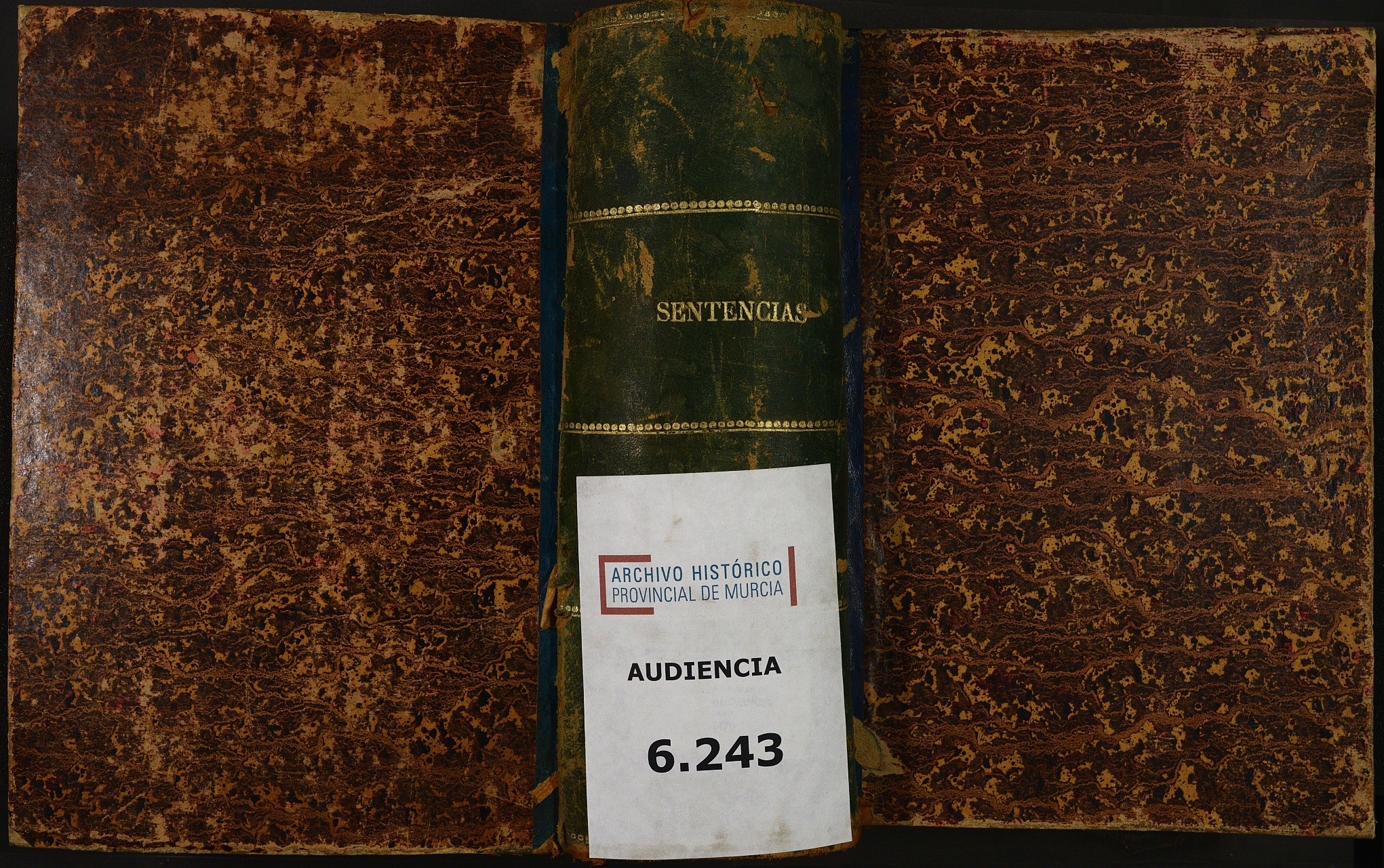 Libro de Sentencias de la Audiencia de lo Criminal de Murcia. Año 1889.