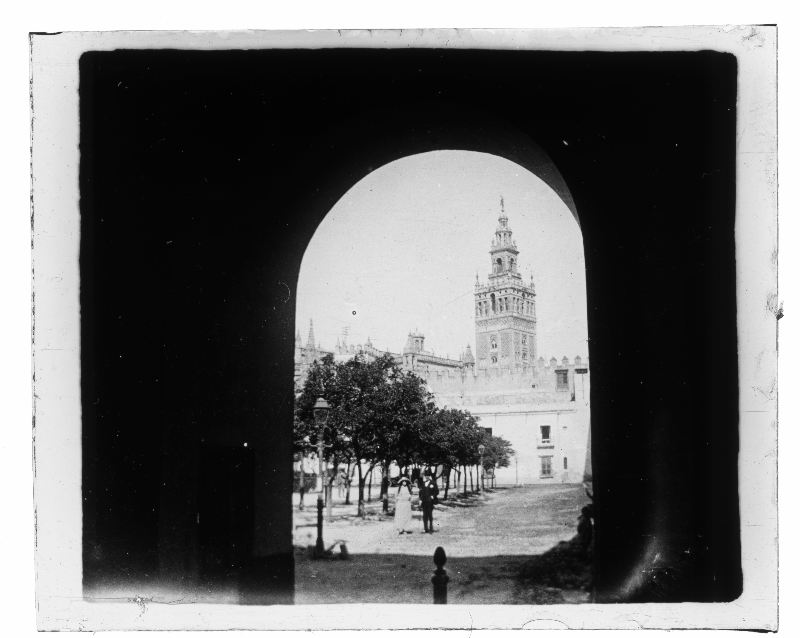 Vista de la catedral y la Giralda de Sevilla desde el patio del Alcázar