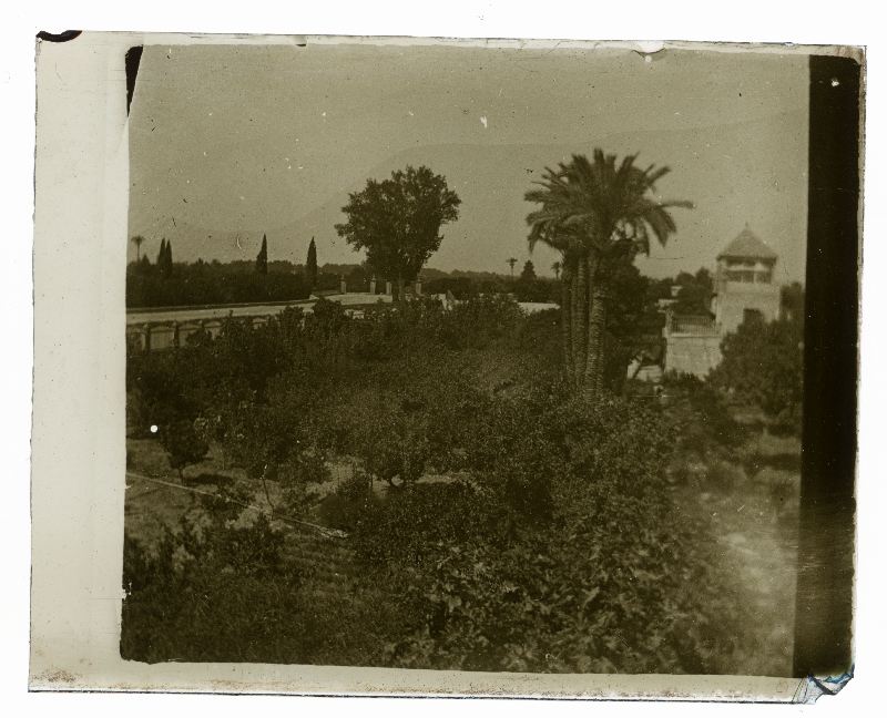 Vista de los jardines del Malecón de Murcia