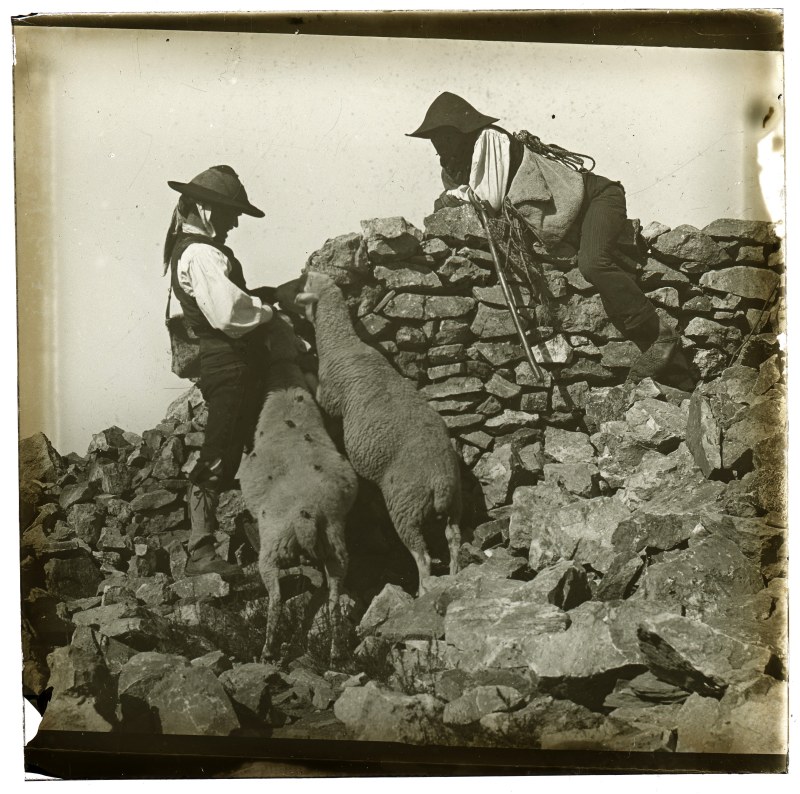 Dos pastores con ovejas junto a un muro en la cumbre de la Tetica de Bacares.