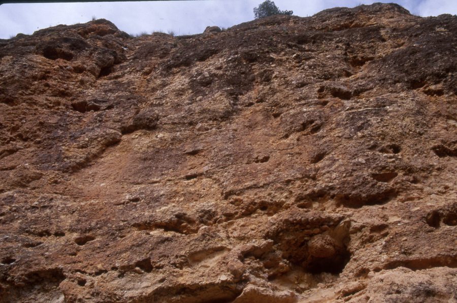 Reportaje fotográfico de una pared de roca en las proximidades del Santuario de la Virgen de la Esperanza de Calasparra