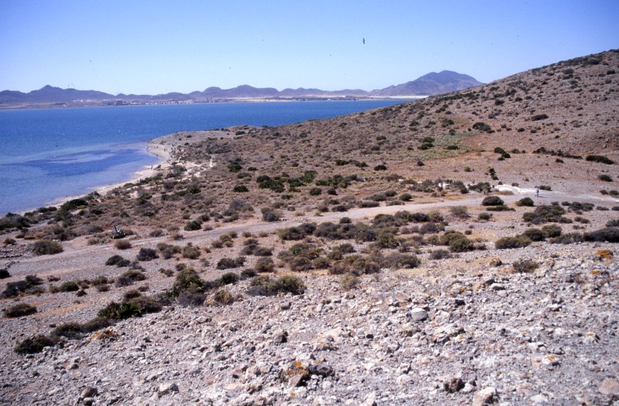 Panorámica de la Manga del Mar Menor desde uno de los islotes de la laguna