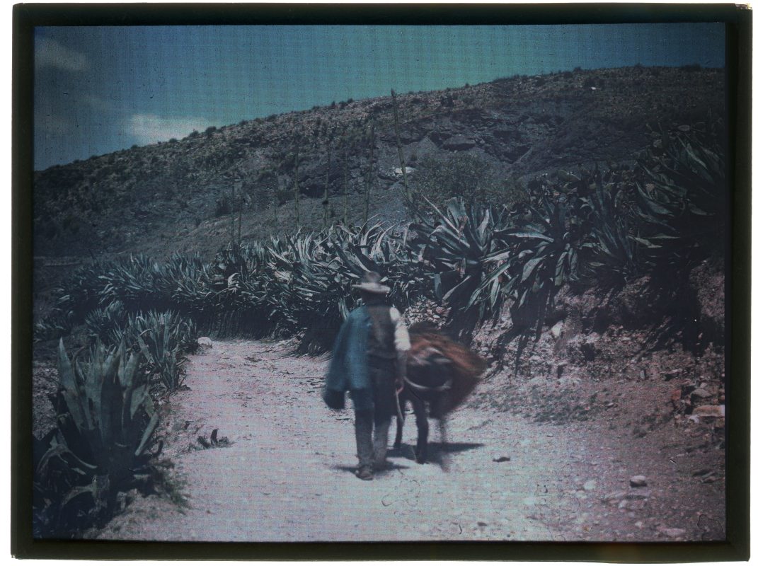 Un campesino y un burro caminando por una rambla en el paraje de La Hojilla, en Cantoria