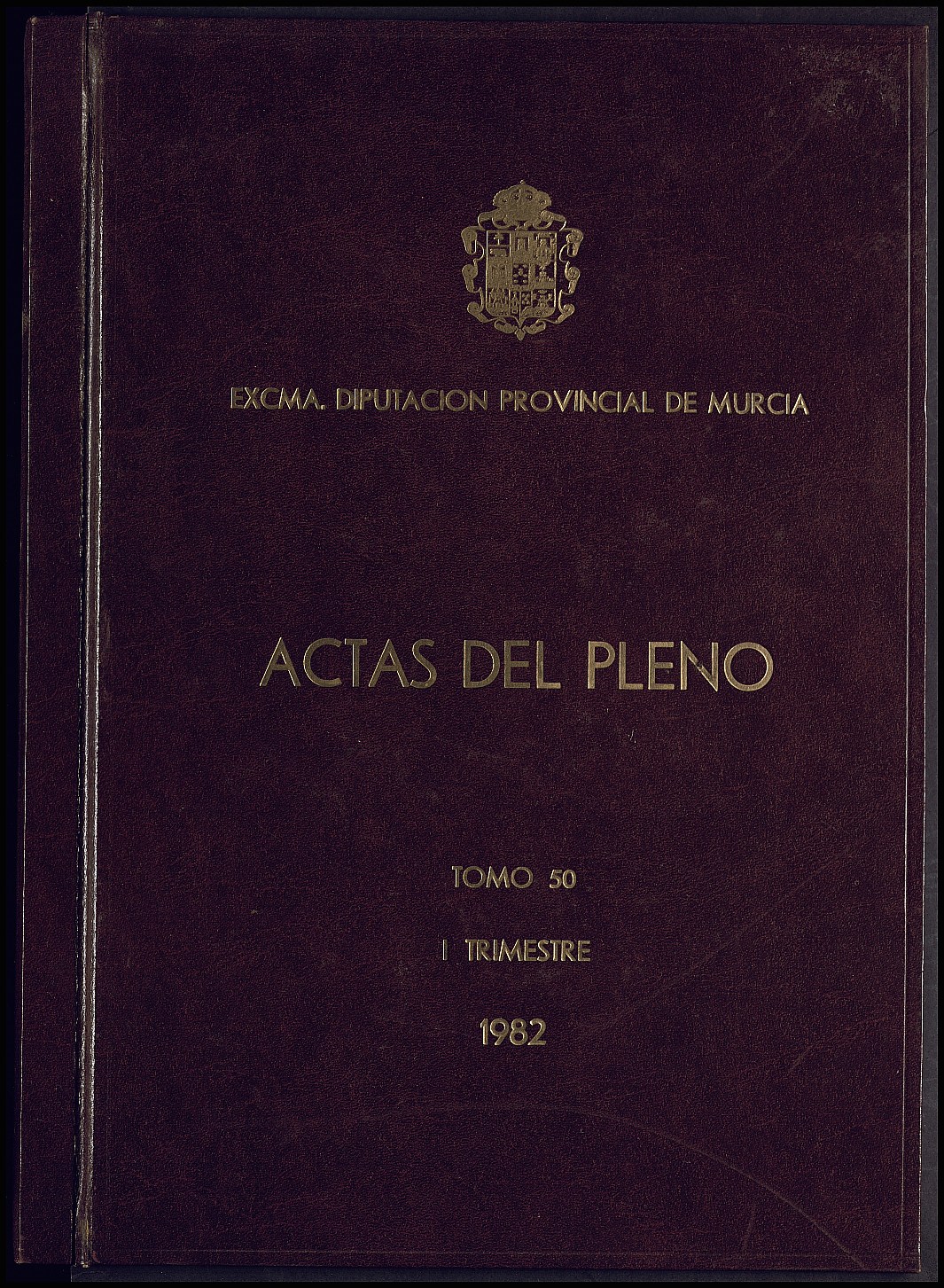 Registro de actas de sesiones del Pleno de la Diputación Provincial de Murcia. Año 1982.