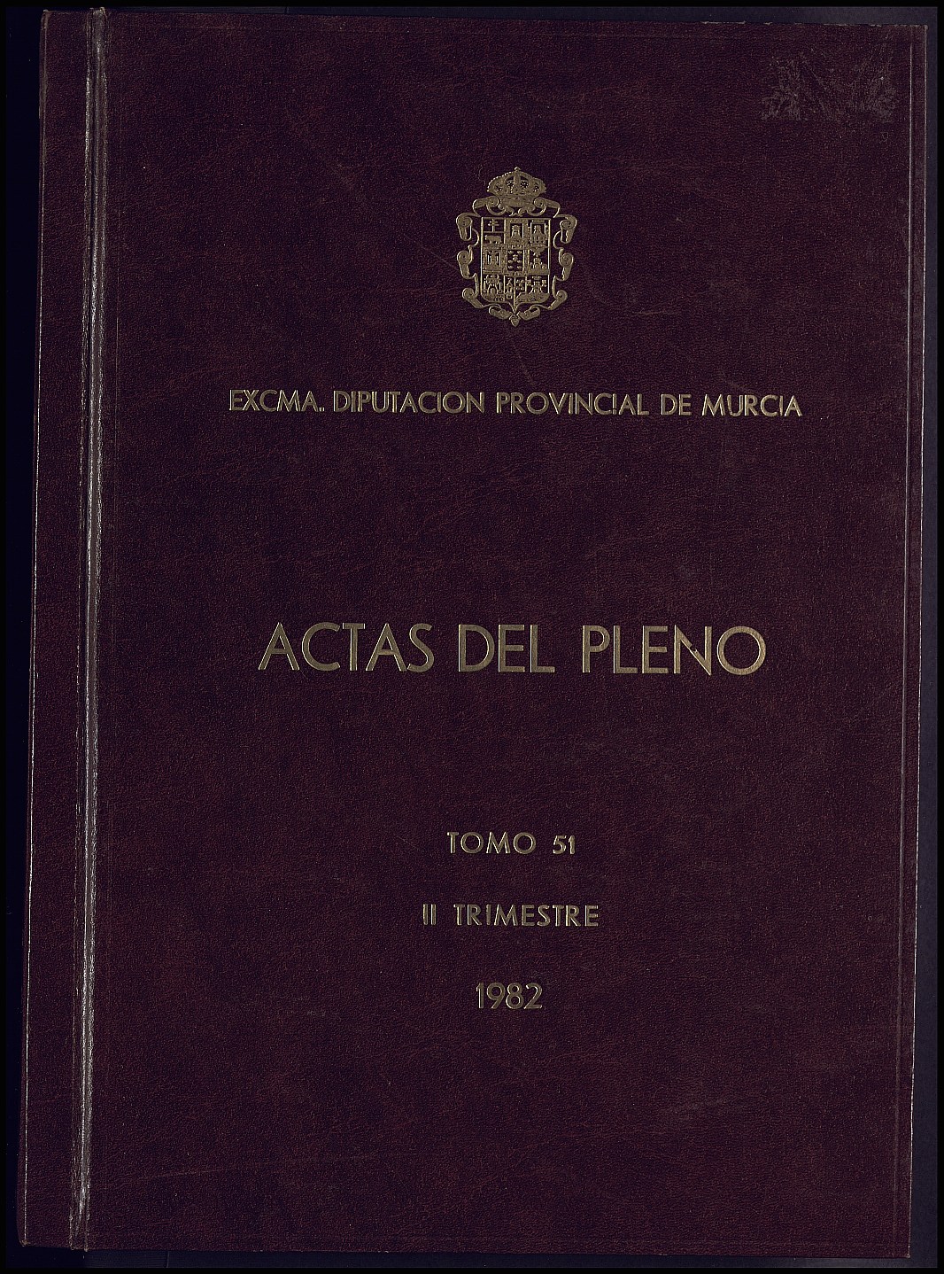 Registro de actas de sesiones del Pleno de la Diputación Provincial de Murcia. Año 1982.