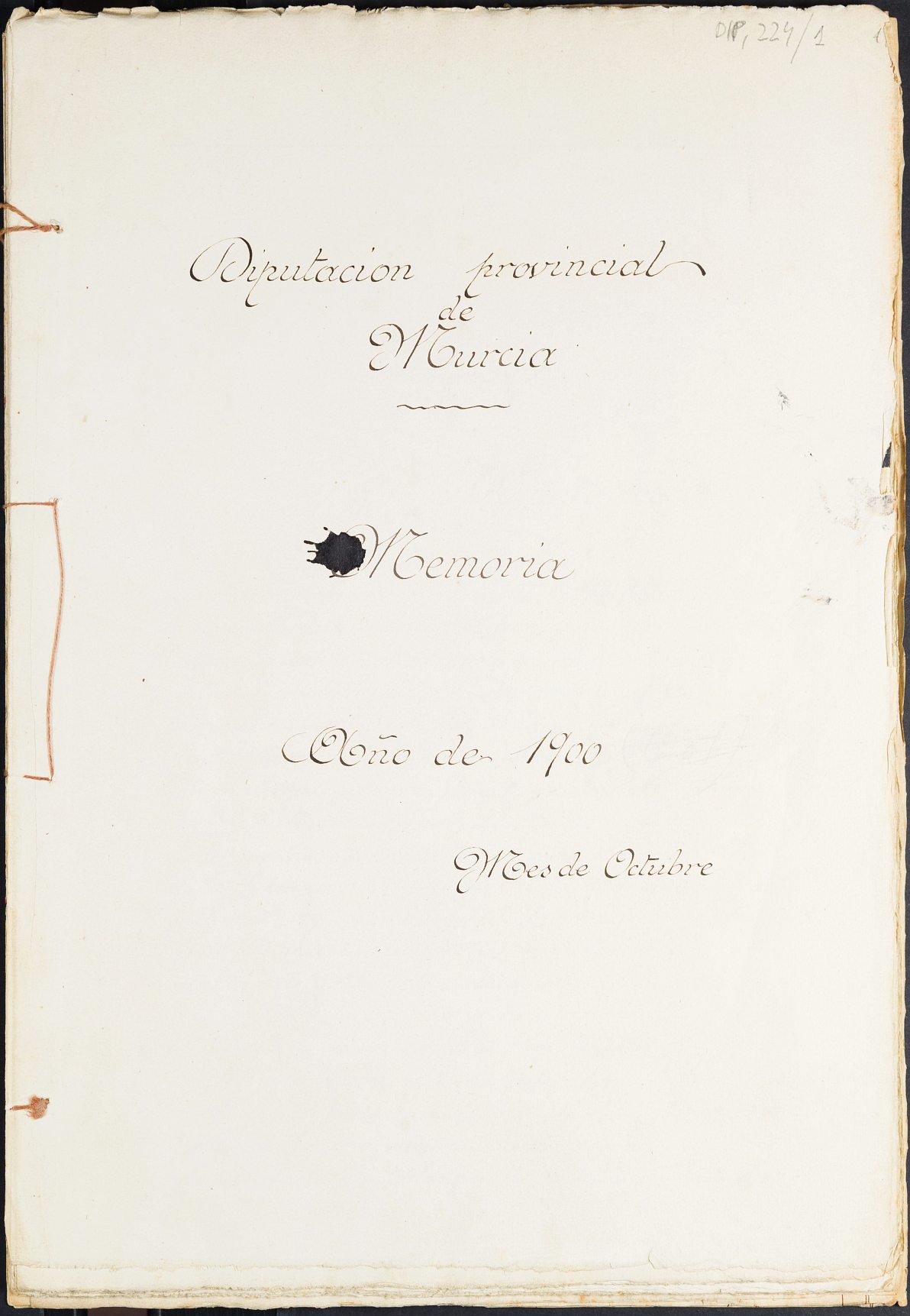 Haz click para mostrar el visor de imgenes