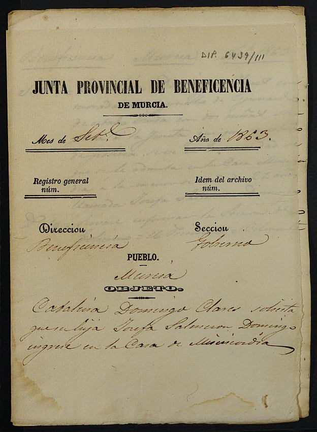 Expediente de solicitud de ingreso en la Casa Provincial de Misericordia y Huérfanos de Murcia de Josefa Salmerón Domingo, de 21 años.