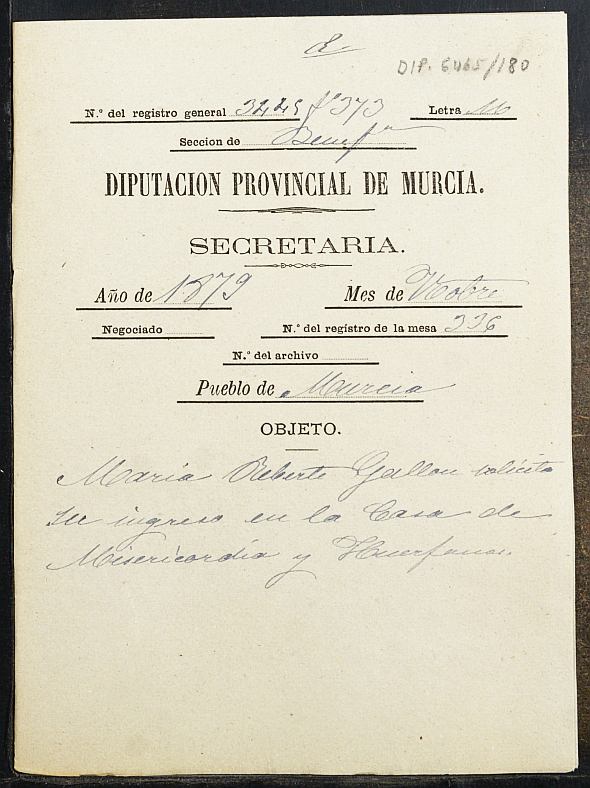 Haz click para mostrar el visor de imgenes