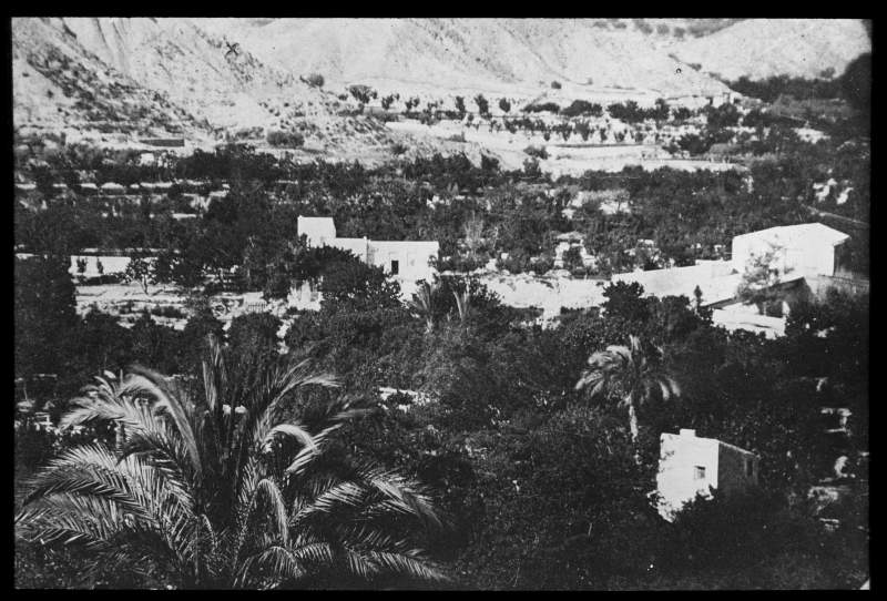 Vista panorámica del valle del río Segura, con huertas, casas, palmeras y, al fondo, tierras de secano.
