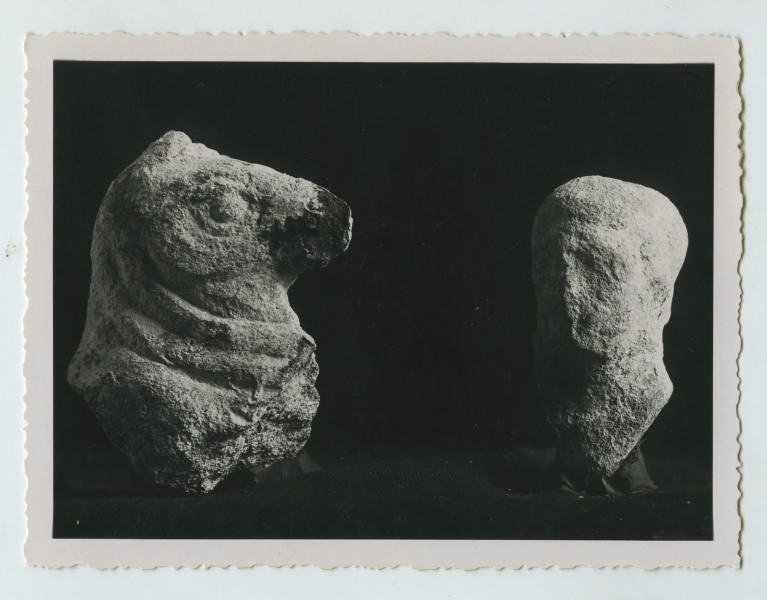 Dos fragmentos de esculturas (cabeza de toro y de hombre) hallados en el yacimiento arqueológico del Cabecico del Tesoro de Murcia