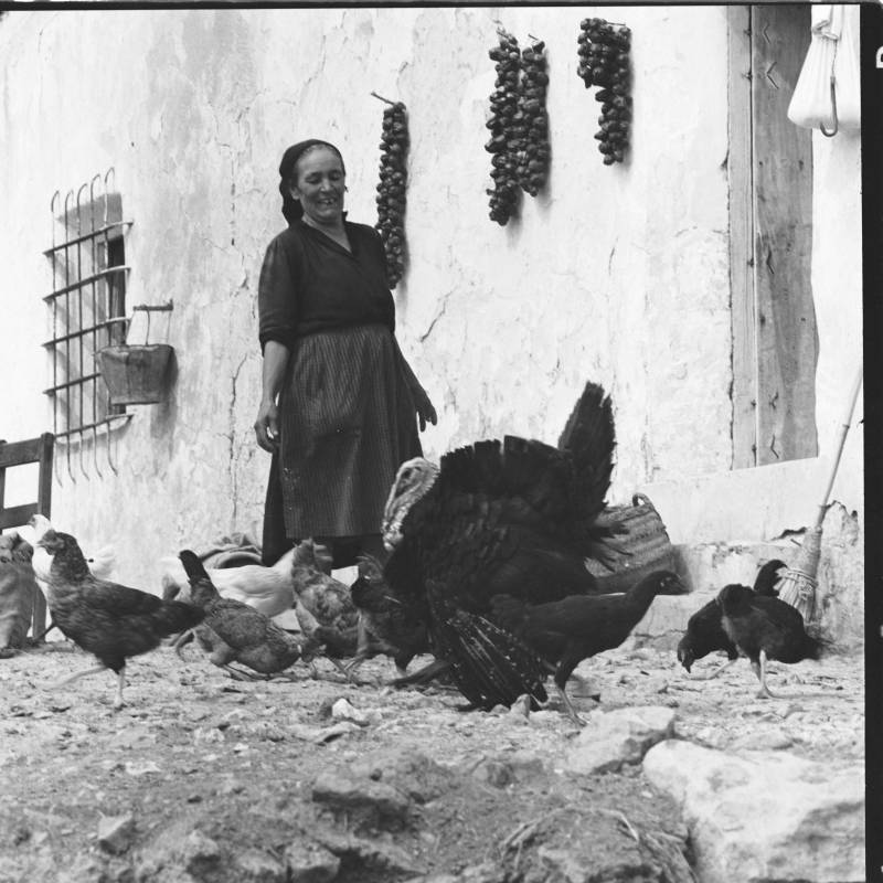 Una campesina anciana con un grupo de gallinas y pavos en un cortijo situado entre Águilas, Lorca y Mazarrón.