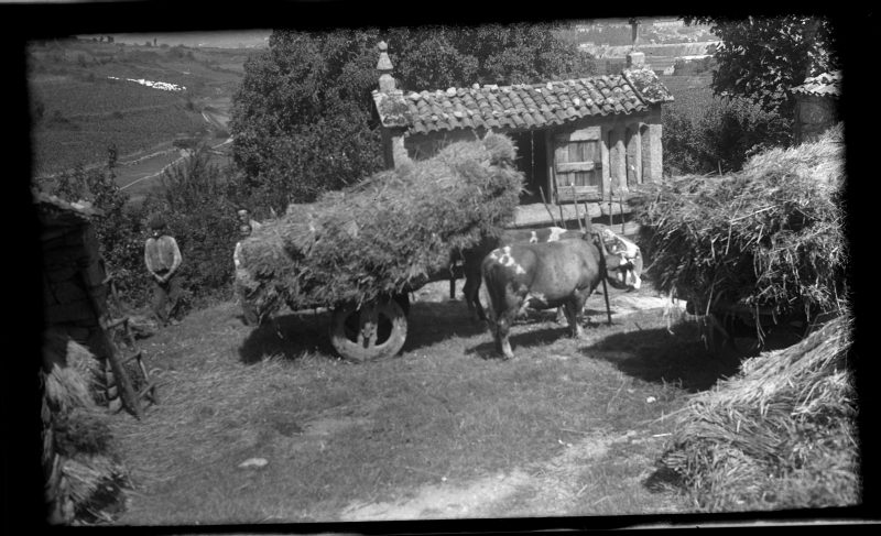 Un carro de bueyes junto a un hórreo en algún lugar entre A Coruña y San Ciprián