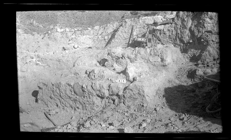 Excavación de las tumbas nº 132 y 133 del yacimiento ibérico de El Cigarralejo
