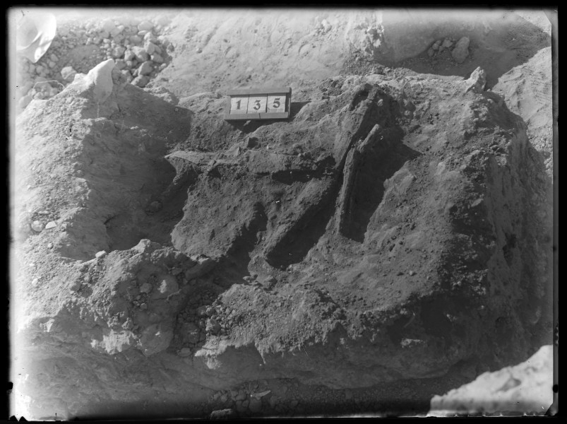 Falcata de la tumba número 135 en la necrópolis del yacimiento de El Cigarralejo.