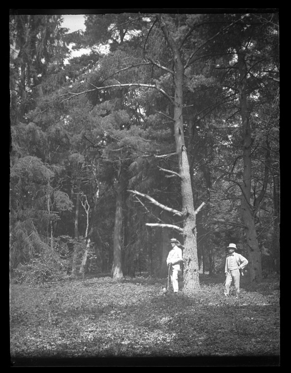 Dos hombres en el bosque de Harrowsley, cerca de Horley (Surrey).