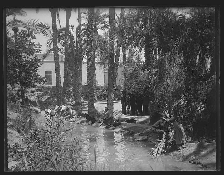 Mujeres lavando en un riachuelo junto a un bosque de palmeras.