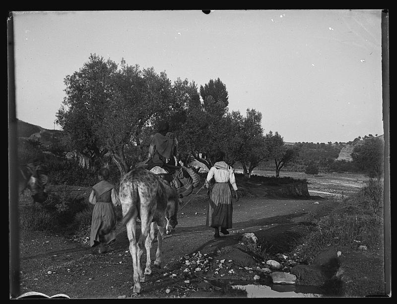 Segadoras de Serón con burros en un camino.