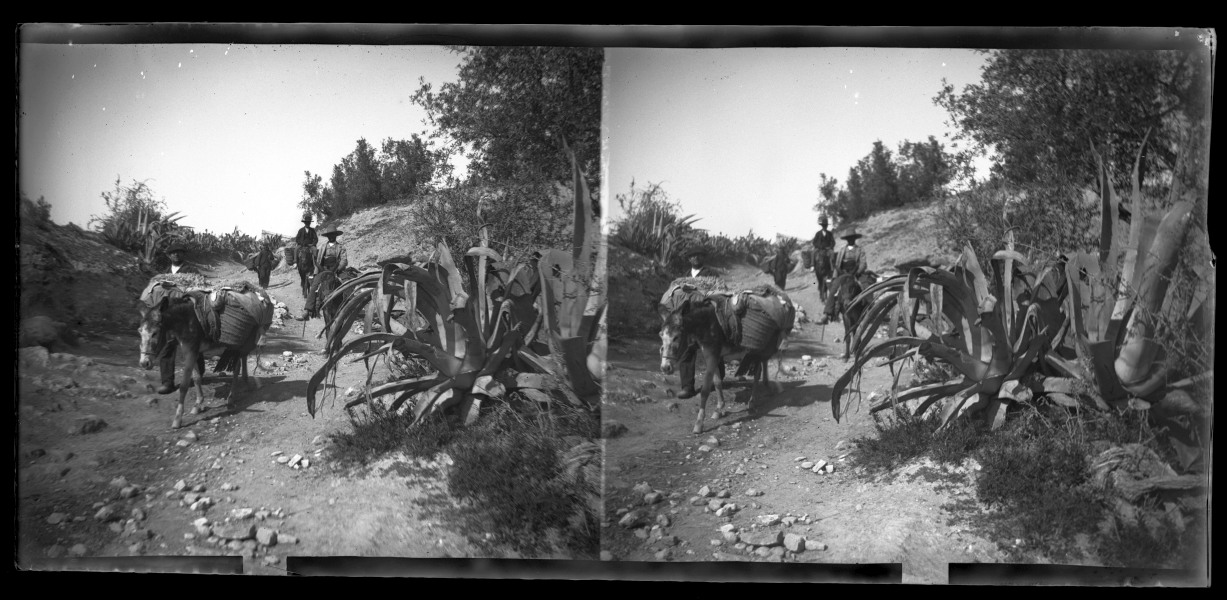 Campesinos regresando de Huércal-Overa por un camino en las cercanías de la aldea de Almajalejo