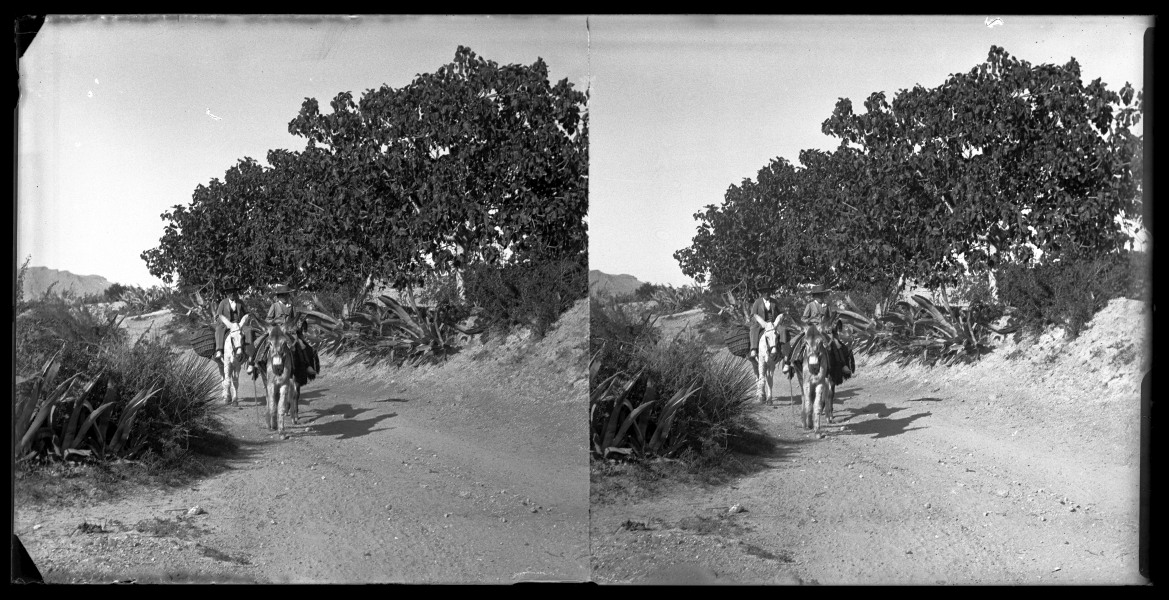 Dos campesinos en burro por la carretera cerca de Almajalejo