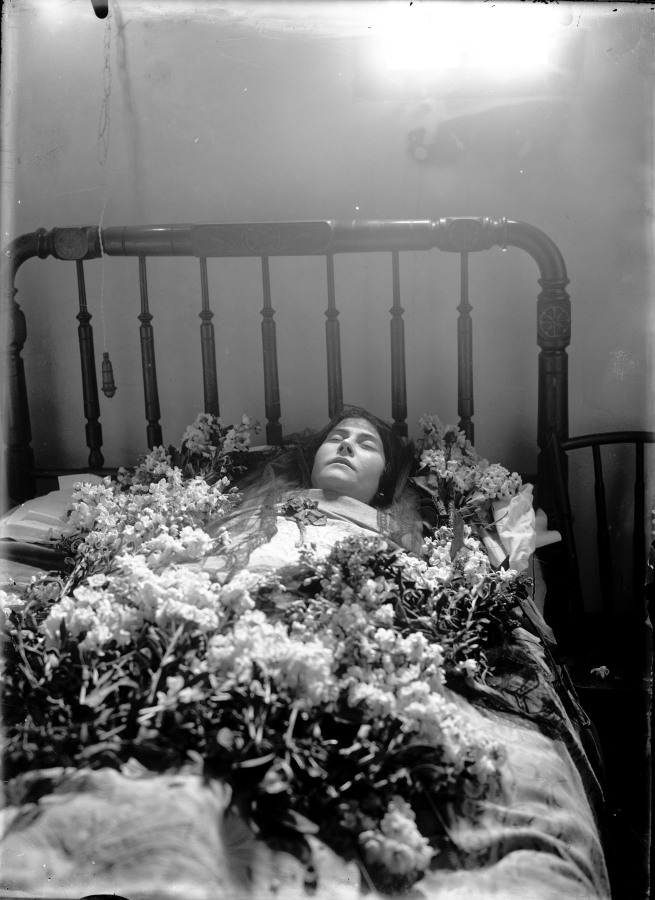 Haz click para mostrar el visor de imgenes