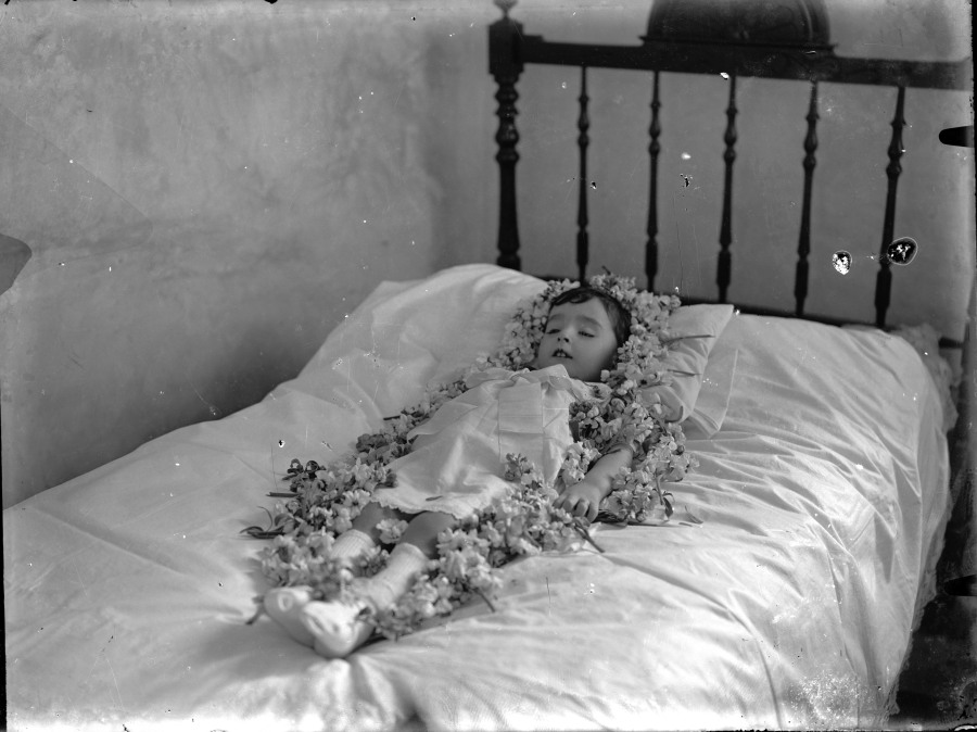 Haz click para mostrar el visor de imgenes