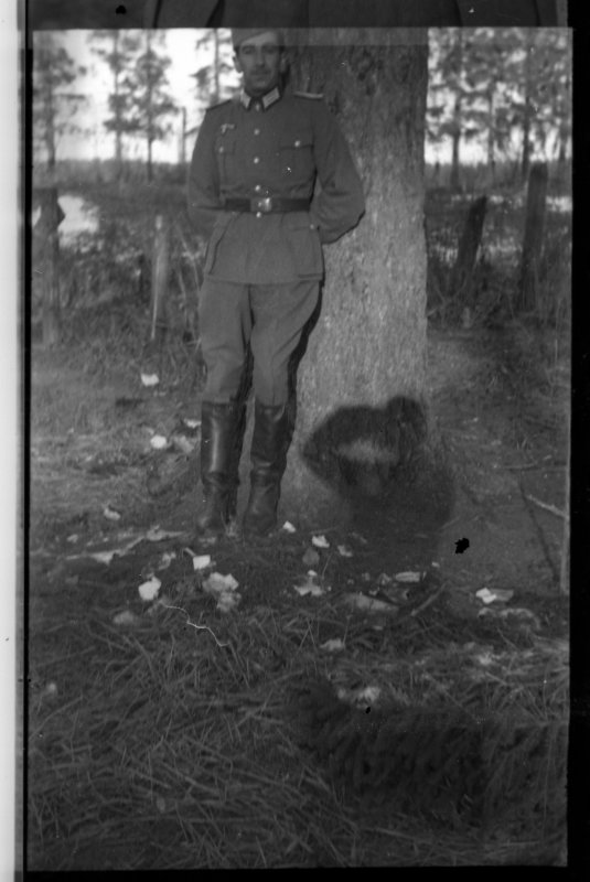 Retrato de un oficial de la División Azul apoyado en un árbol