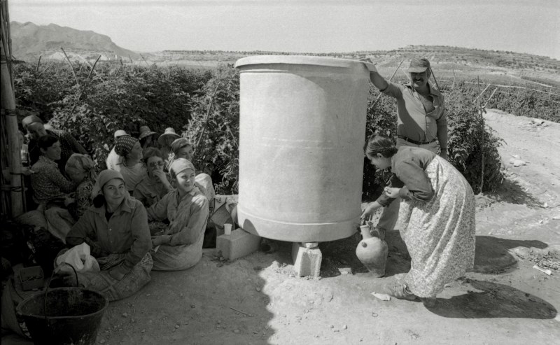 Un grupo de mujeres recolectoras de tomate de una empresa agrícola de Mazarrón hacen un descanso en la hora del bocadillo.
