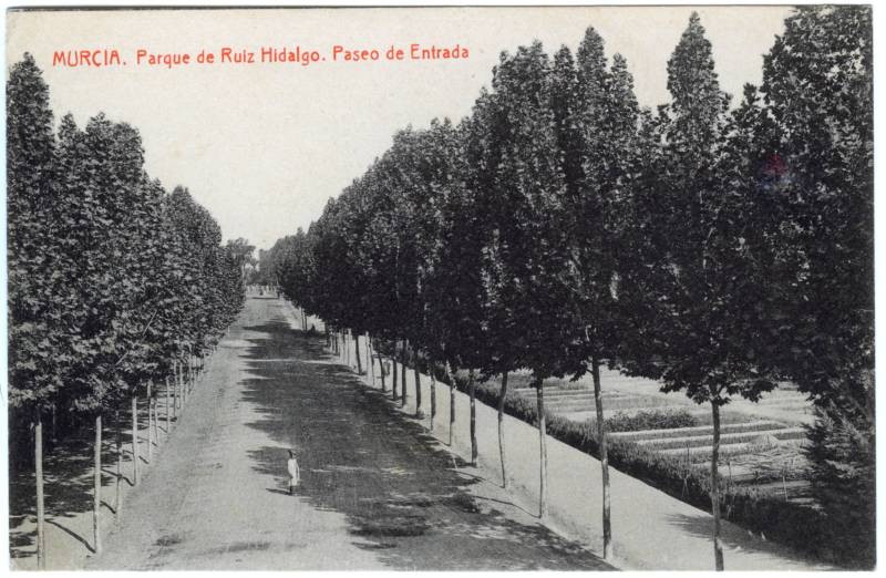 Murcia. Parque de Ruiz Hidalgo. Paseo de entrada.