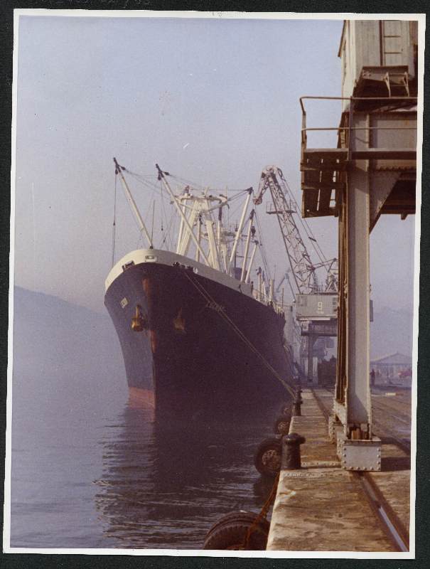 Muelle de Alfonso XII del Puerto de Cartagena en enero de 1970