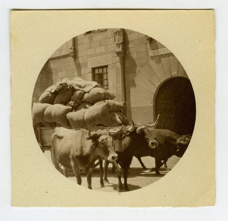 Carro de bueyes cargado con grande sacos en una calle