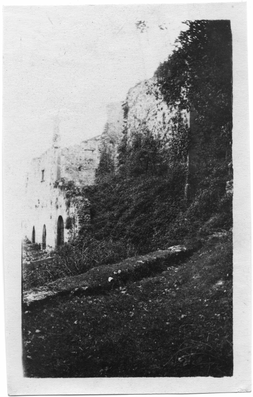 Vista de una edificación en ruinas parcialmente oculta por maleza