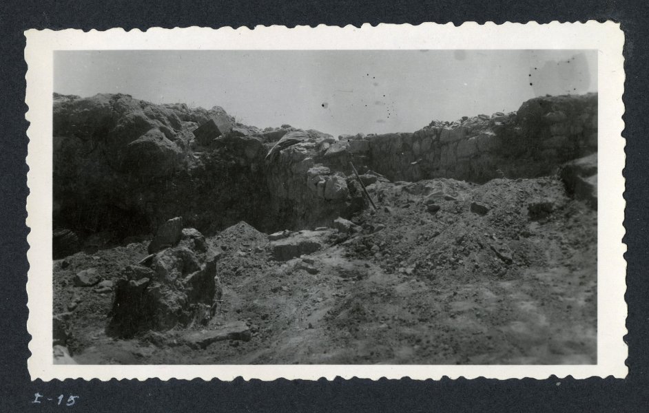 Haz click para mostrar el visor de imgenes