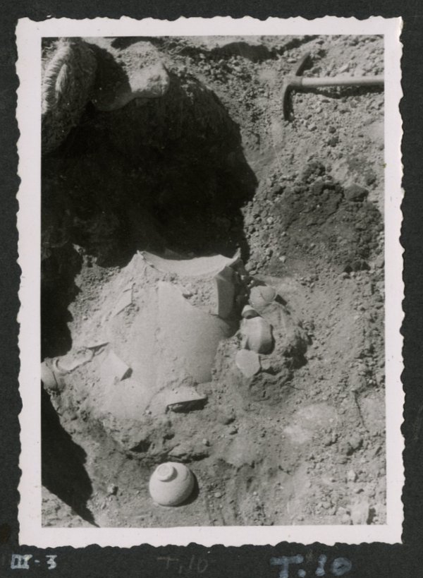 Haz click para mostrar el visor de imgenes