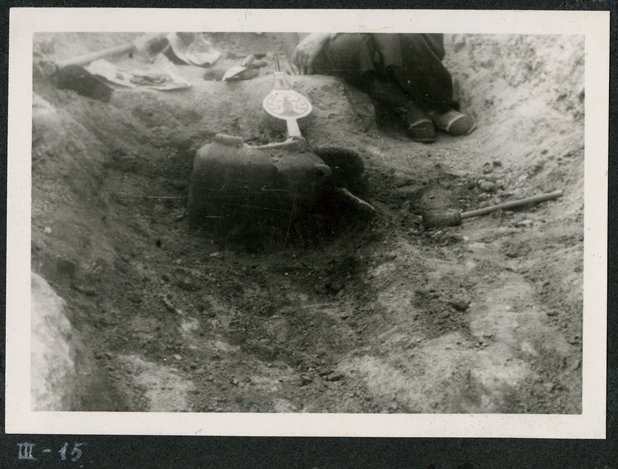 Haz click para mostrar el visor de imgenes