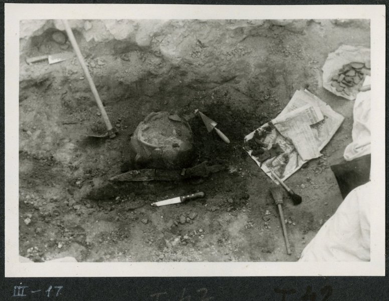 Haz click para mostrar el visor de imgenes