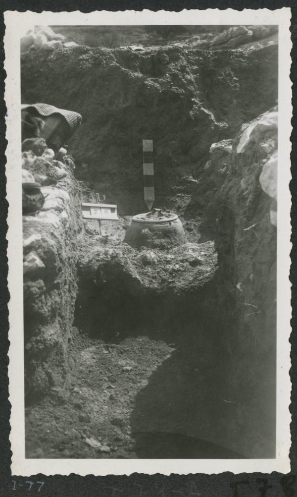 Tumba número 78 de la necrópolis del yacimiento de El Cigarralejo con urna funeraria hallada.