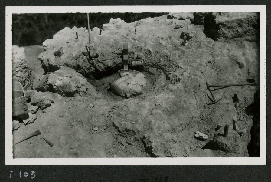 Tumba 111 de la necrópolis del yacimiento de El Cigarralejo excavada con urna cineraria.