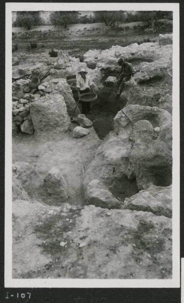 Operarios trabajando en la tumba número 113 de la necrópolis del yacimiento de El Cigarralejo.