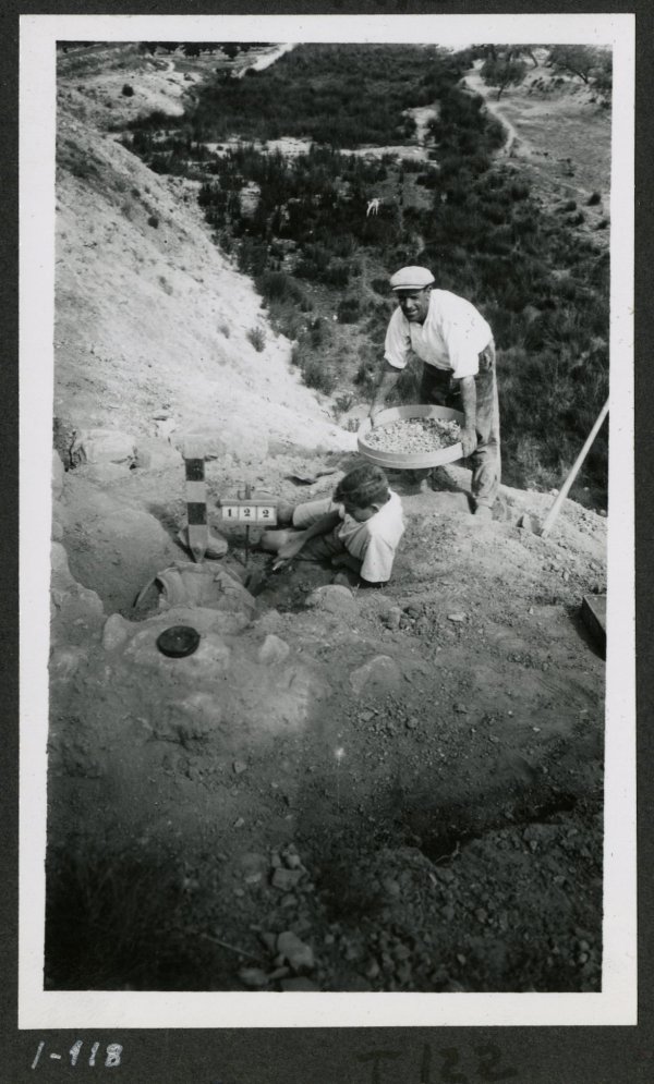 Dos personas trabajan en la tumba 122 de la necrópolis del yacimiento de El Cigarralejo.