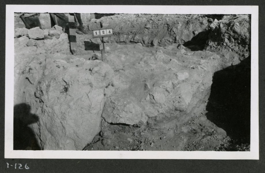 Tumba número 124 de la necrópolis del yacimiento de El Cigarralejo sin excavar.