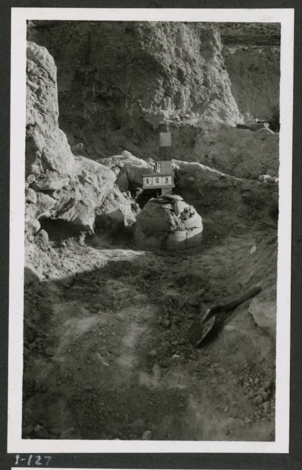 Tumba número 123 de la necrópolis del yacimiento de El Cigarralejo abierta con urna hallada.