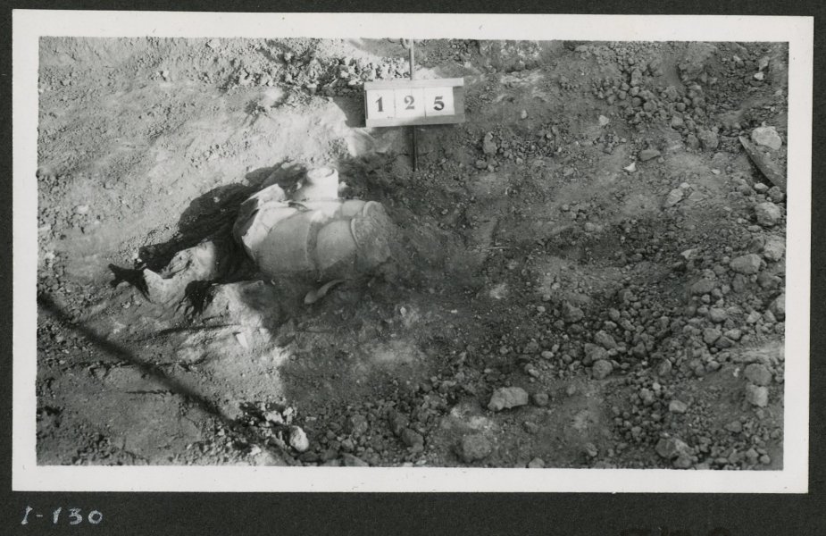 Tumba número 125 de la necrópolis del yacimiento de El Cigarralejo excavada. Campaña 1953.