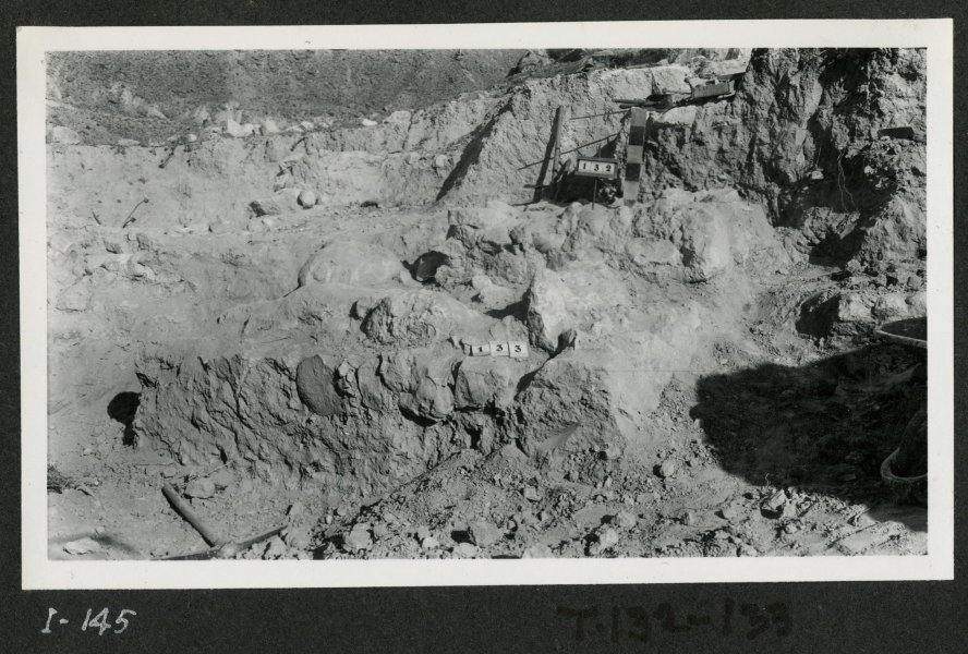 Vista de las tumbas 132 y 133 en necrópolis del yacimiento de El Cigarralejo antes de ser abiertas.