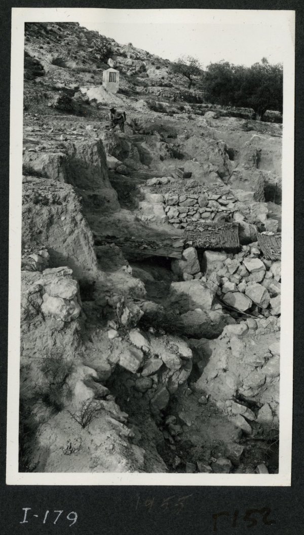 Vista de varias tumbas en la necrópolis del yacimiento de El Cigarralejo.
