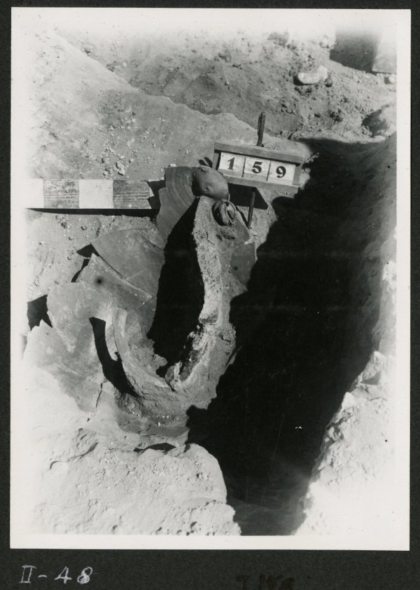 Vista superior de la urna cineraria en la tumba número 159 de la necrópolis del yacimiento de El Cigarralejo.