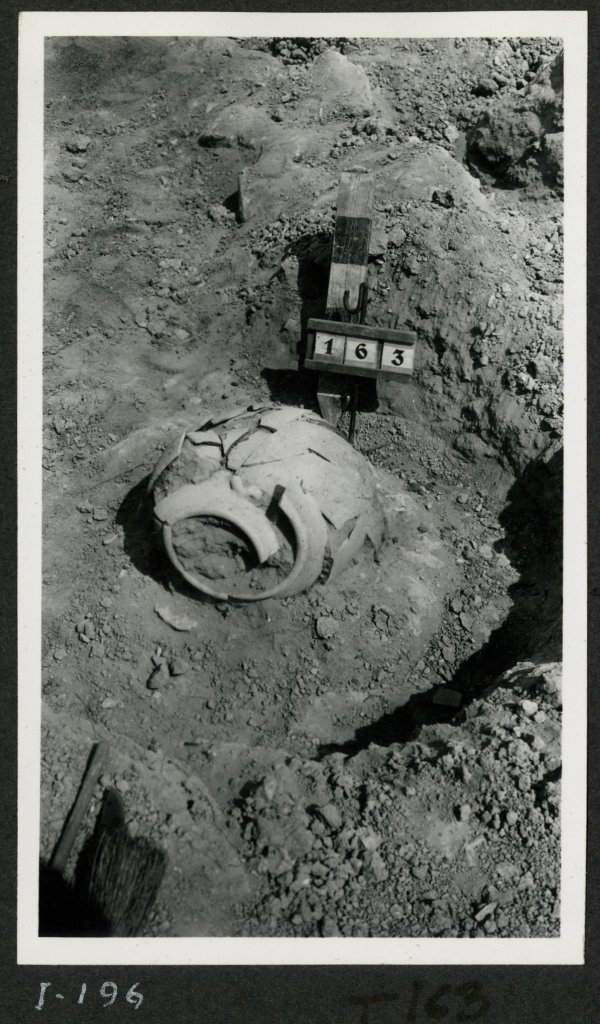 Urna cineraria en la tumba número 163 de la necrópolis del yacimiento de El Cigarralejo.