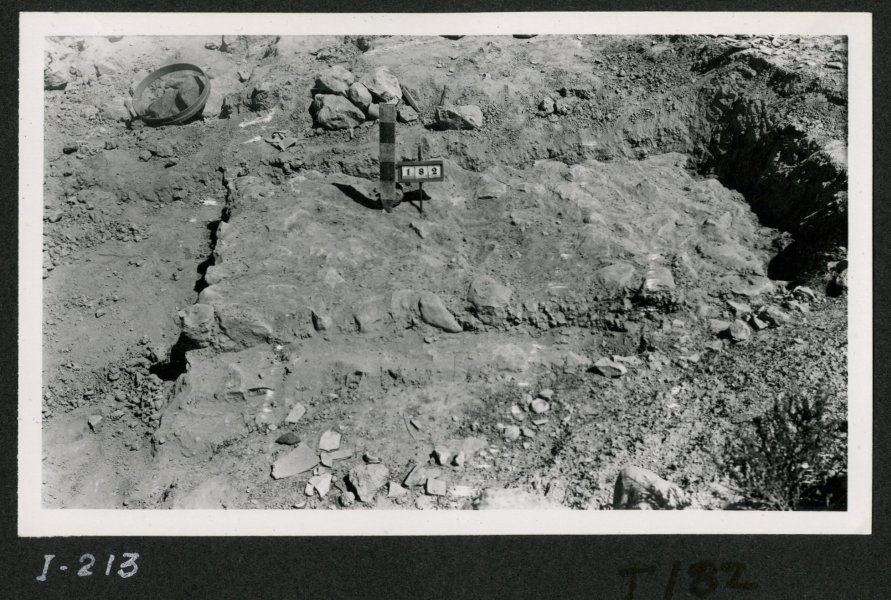 Tumba número 182 de la necrópolis del yacimiento de El Cigarralejo antes de su excavación.